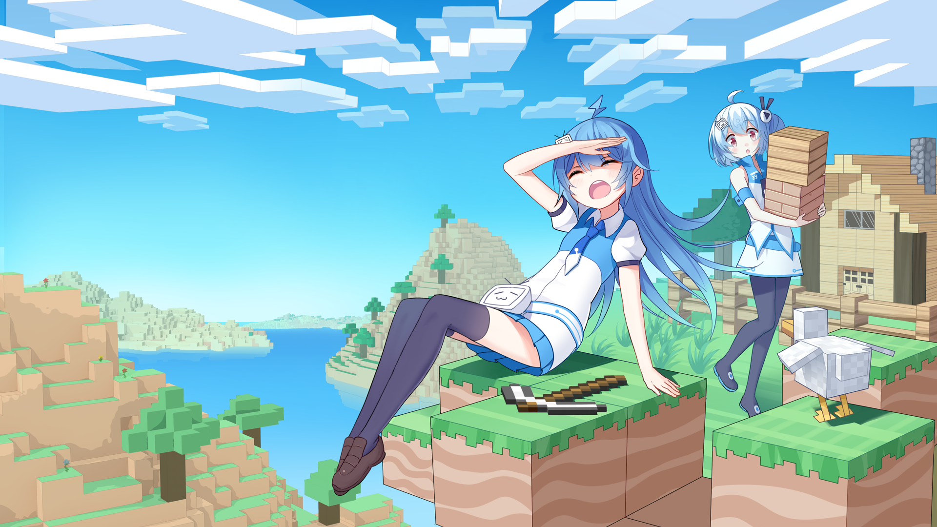 2233和MC